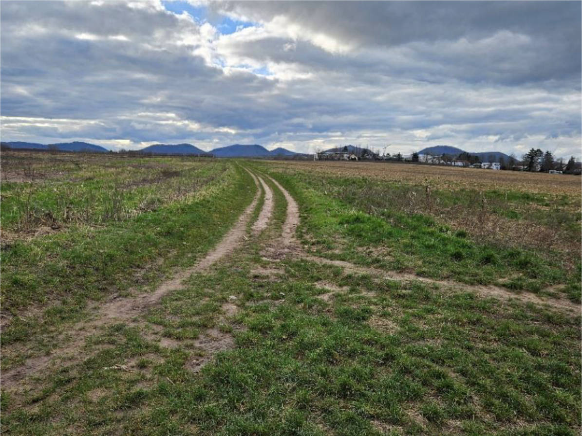 land- und forstwirtschaftlich genutztes Grundstück in Bockensatz, 76833 Wollmesheim - Bild 2