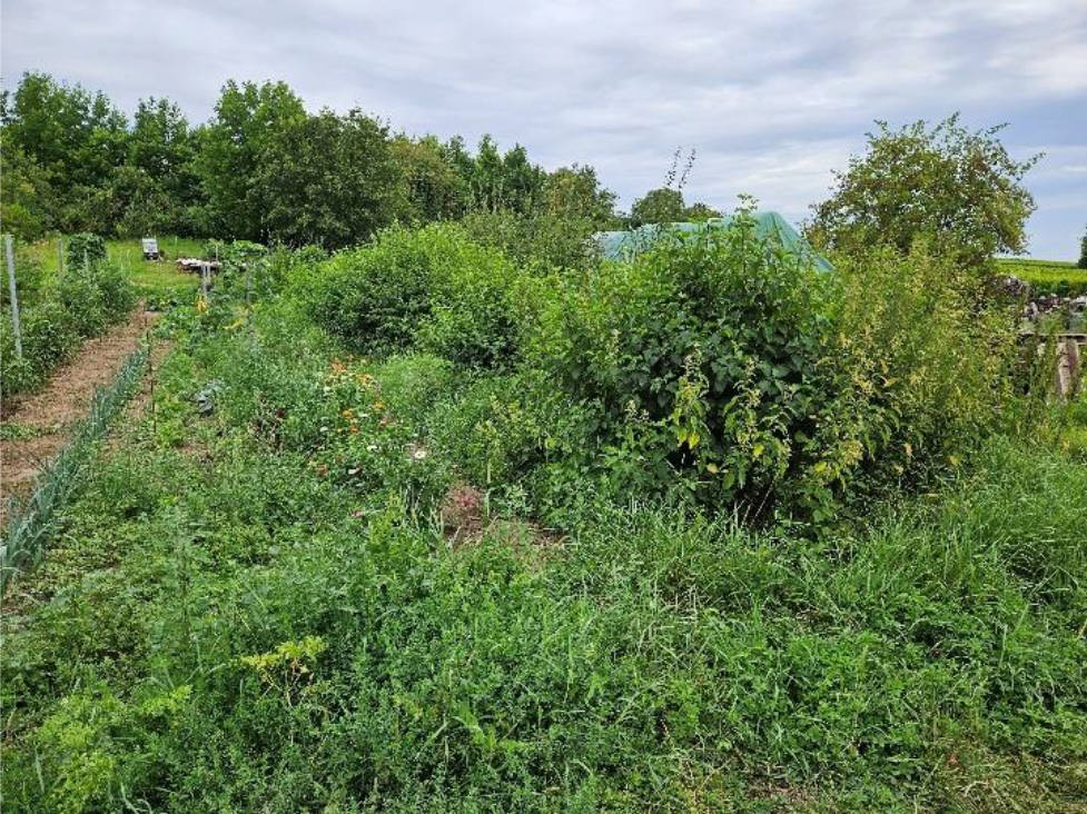 unbebautes Grundstück in Untere Brückengärten, 76879 Oberhochstadt - Bild 3