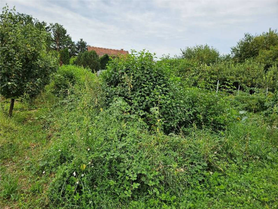 unbebautes Grundstück in Untere Brückengärten, 76879 Oberhochstadt - Bild 2