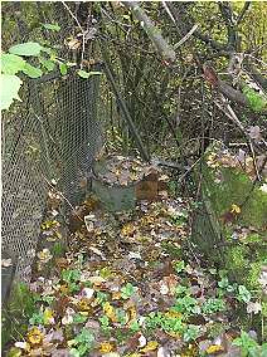 Einfamilienhaus in Am Gottelsberg 2, 66954 Pirmasens - Bild 4