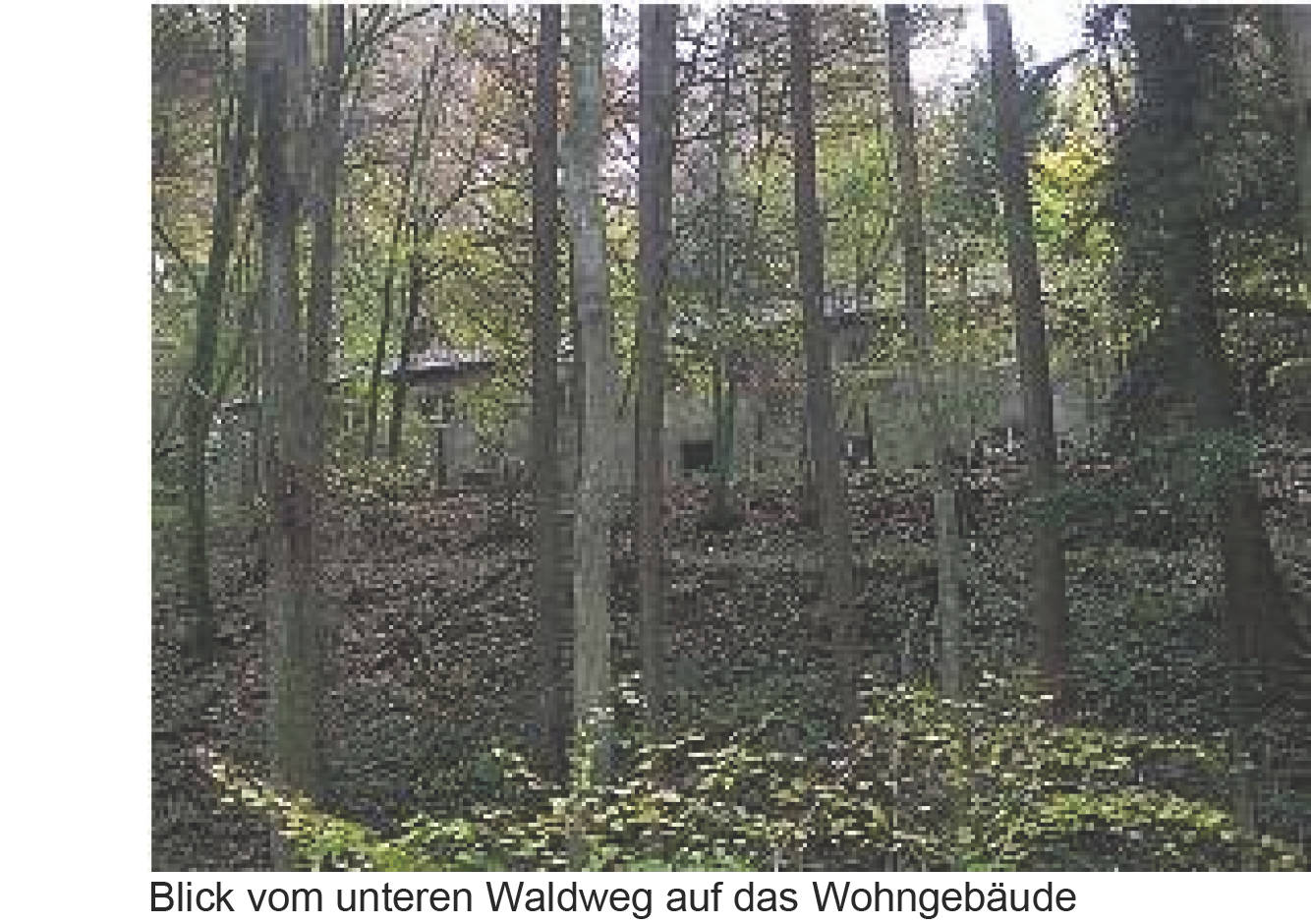 Einfamilienhaus in Am Gottelsberg 2, 66954 Pirmasens - Bild 3