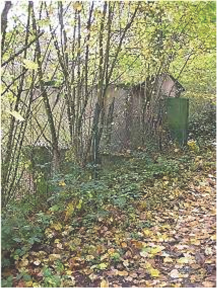 Einfamilienhaus in Am Gottelsberg 2, 66954 Pirmasens - Bild 2