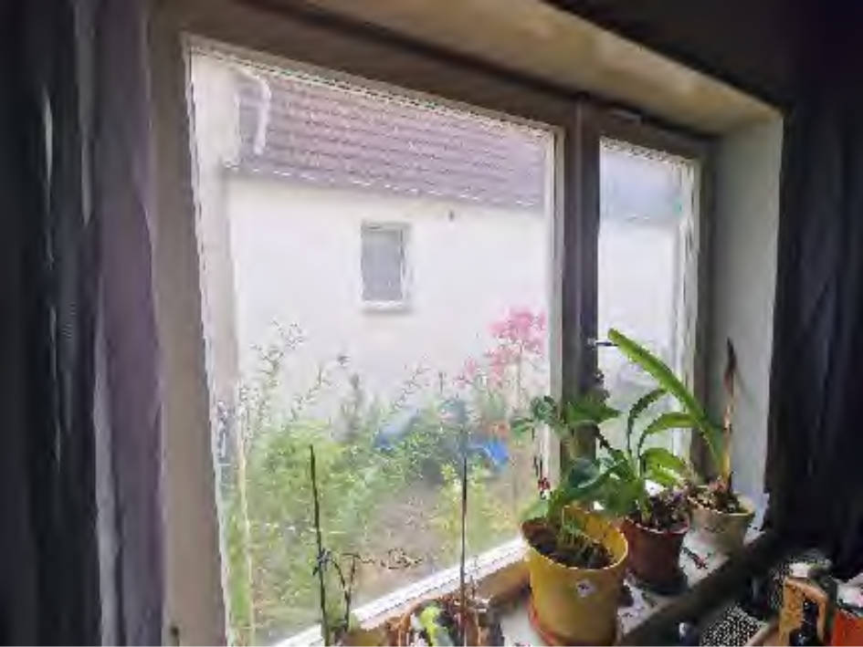 rheinland-pfalz 0003 K 0040/2024 Alte Mühlgasse  48, 76761 Rülzheim 22