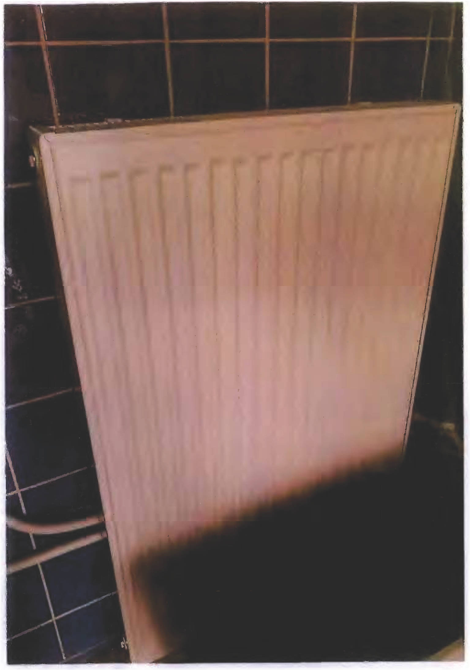 rheinland-pfalz 0003 K 0050/2024 Hauptstraße 27, 66996 Schönau 11