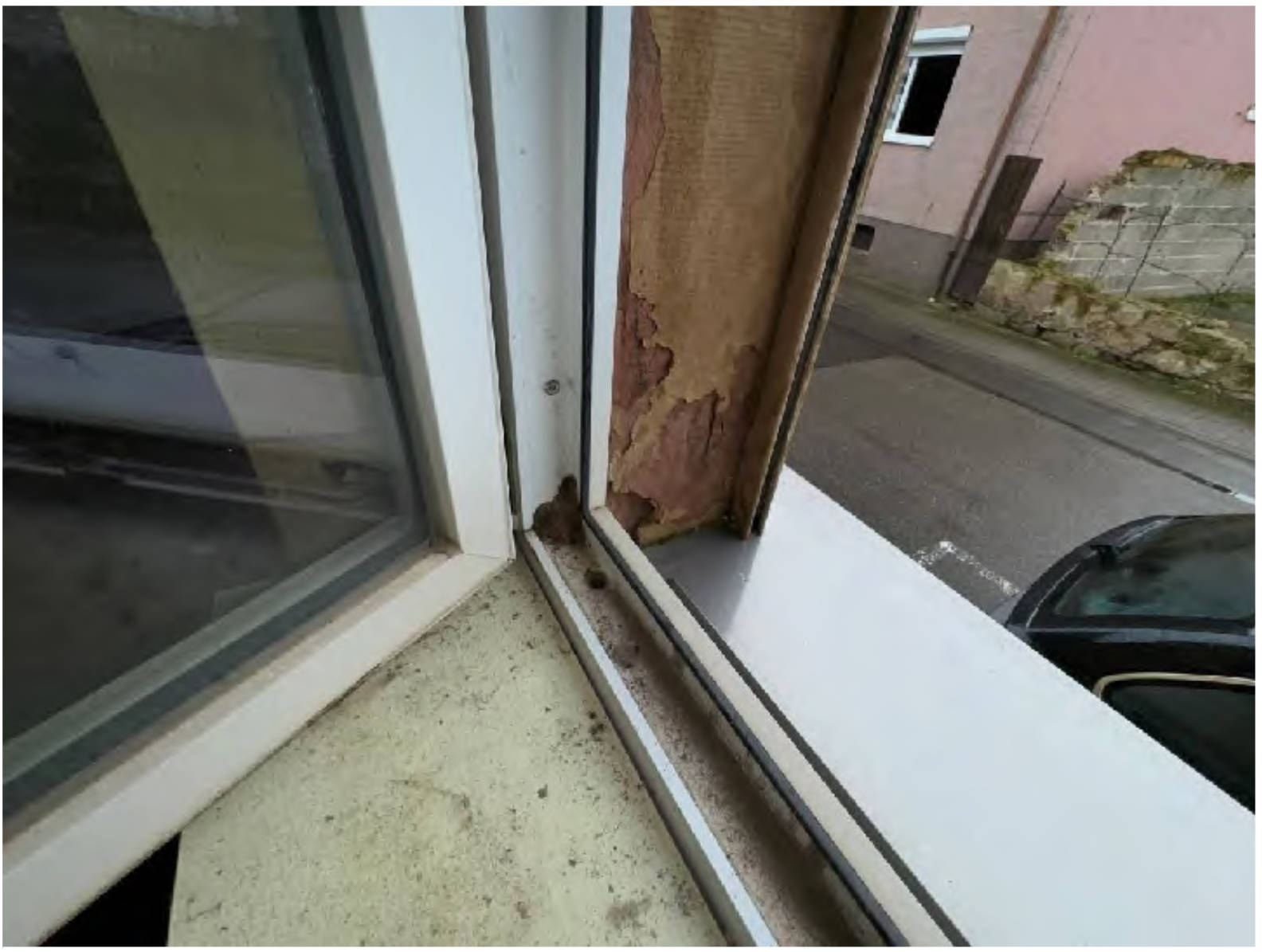 rheinland-pfalz 0003 K 0068/2023 Obergasse 38, 76872 Steinweiler 18