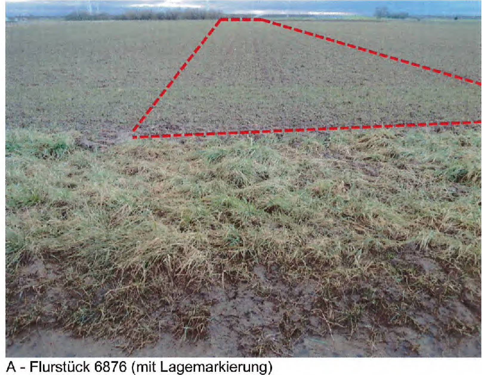 rheinland-pfalz 0003 K 0070/2024 siehe amtliche Bekanntmachung -, 00000 . 9