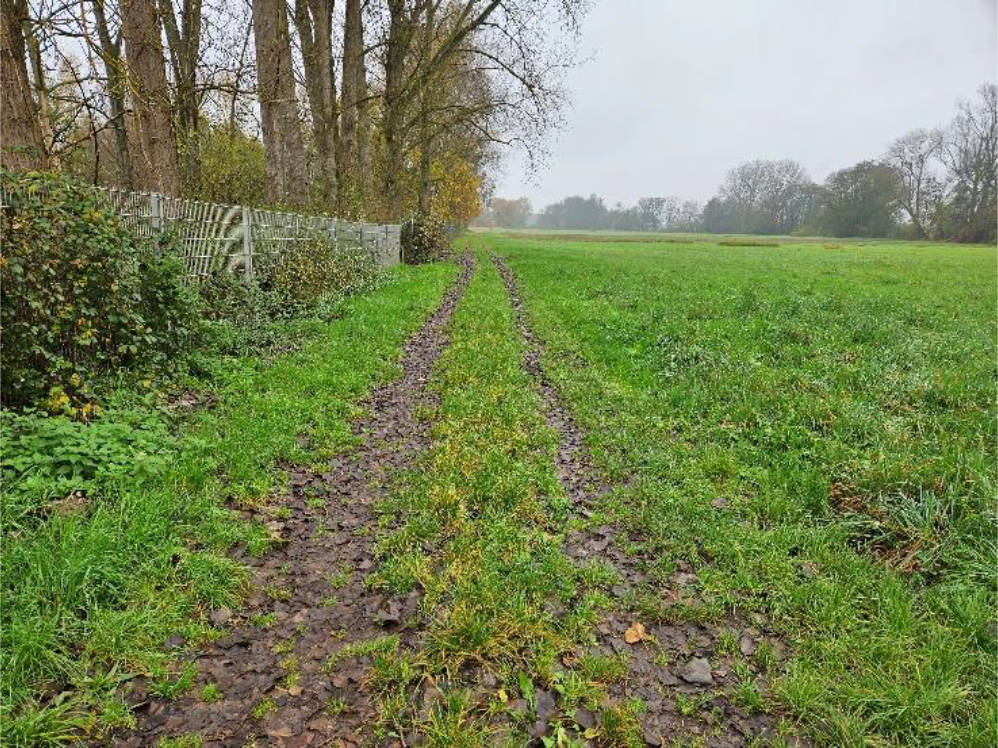 unbebautes Grundstück in - siehe amtliche Bekanntmachung -, 76761 Rülzheim