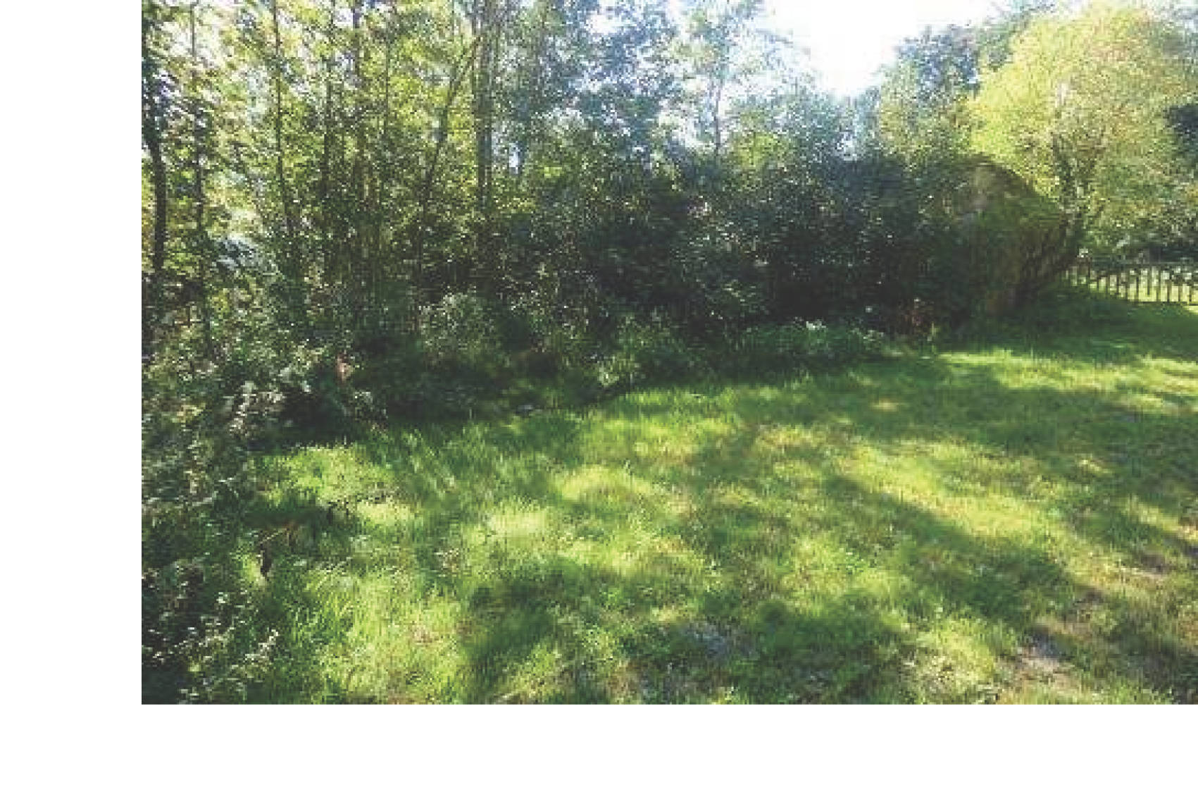 rheinland-pfalz 0006K0004-2023 Tannenhof 1 , 00000 Kehlbach