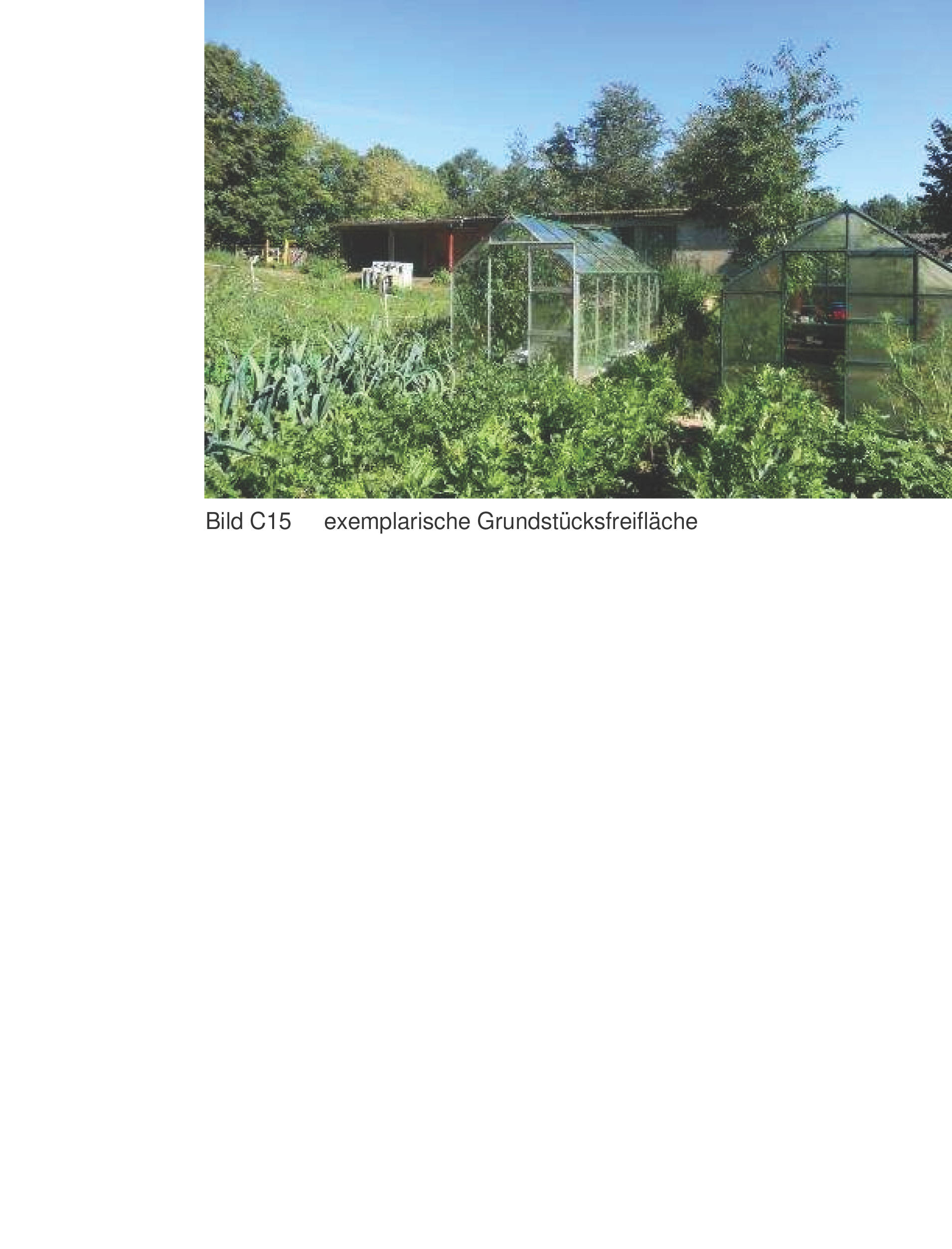 Landwirtschaftliche Hofstelle bebaut mit einem Wohnhaus mit Nebengebäude, einem Kuhstall, zwei Pferdeställen, einer Garage und einer "Ruine" (ehemaliger Schweinestall) sowie ein unbebautes Grundstück (bisher in Tannenhof  1, 00000 Kehlbach - Bild 3