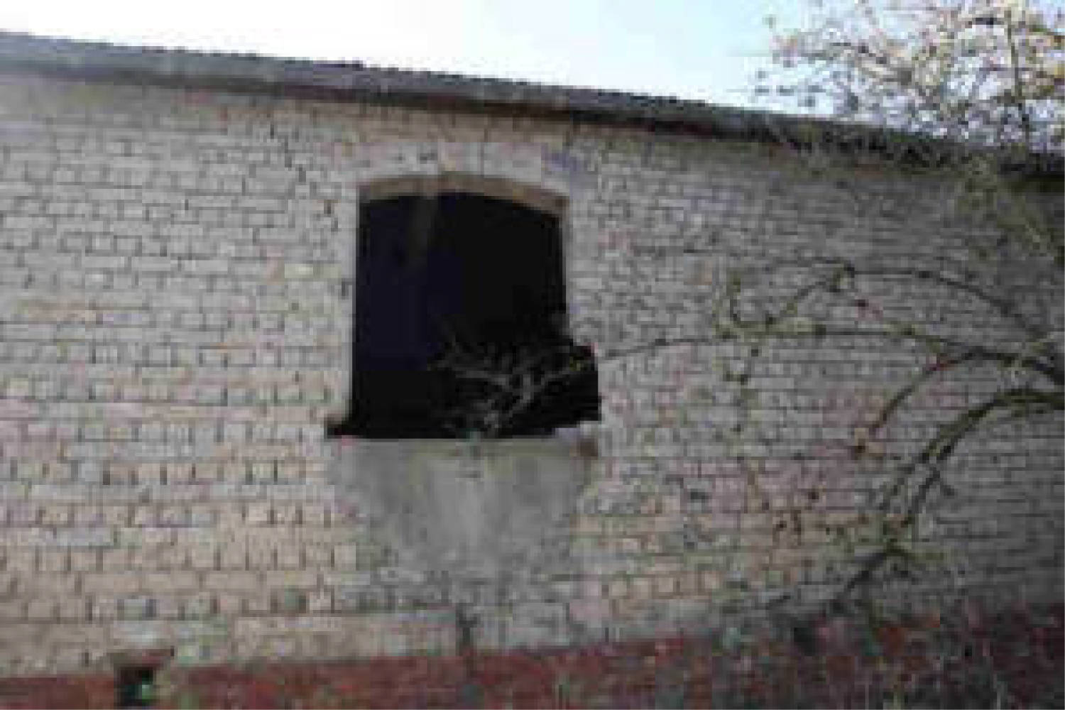 rheinland-pfalz 0006 K 0008/2019 Hof Büchelborn  1, 56340 Dachsenhausen 7