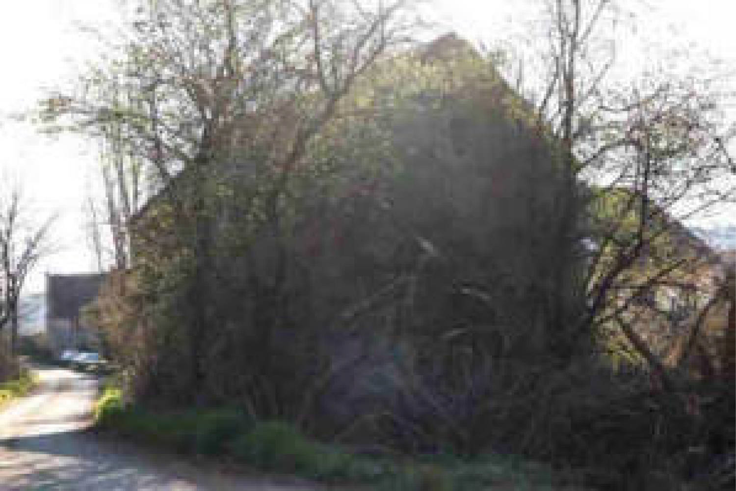 rheinland-pfalz 0006 K 0008/2019 Hof Büchelborn  1, 56340 Dachsenhausen 6