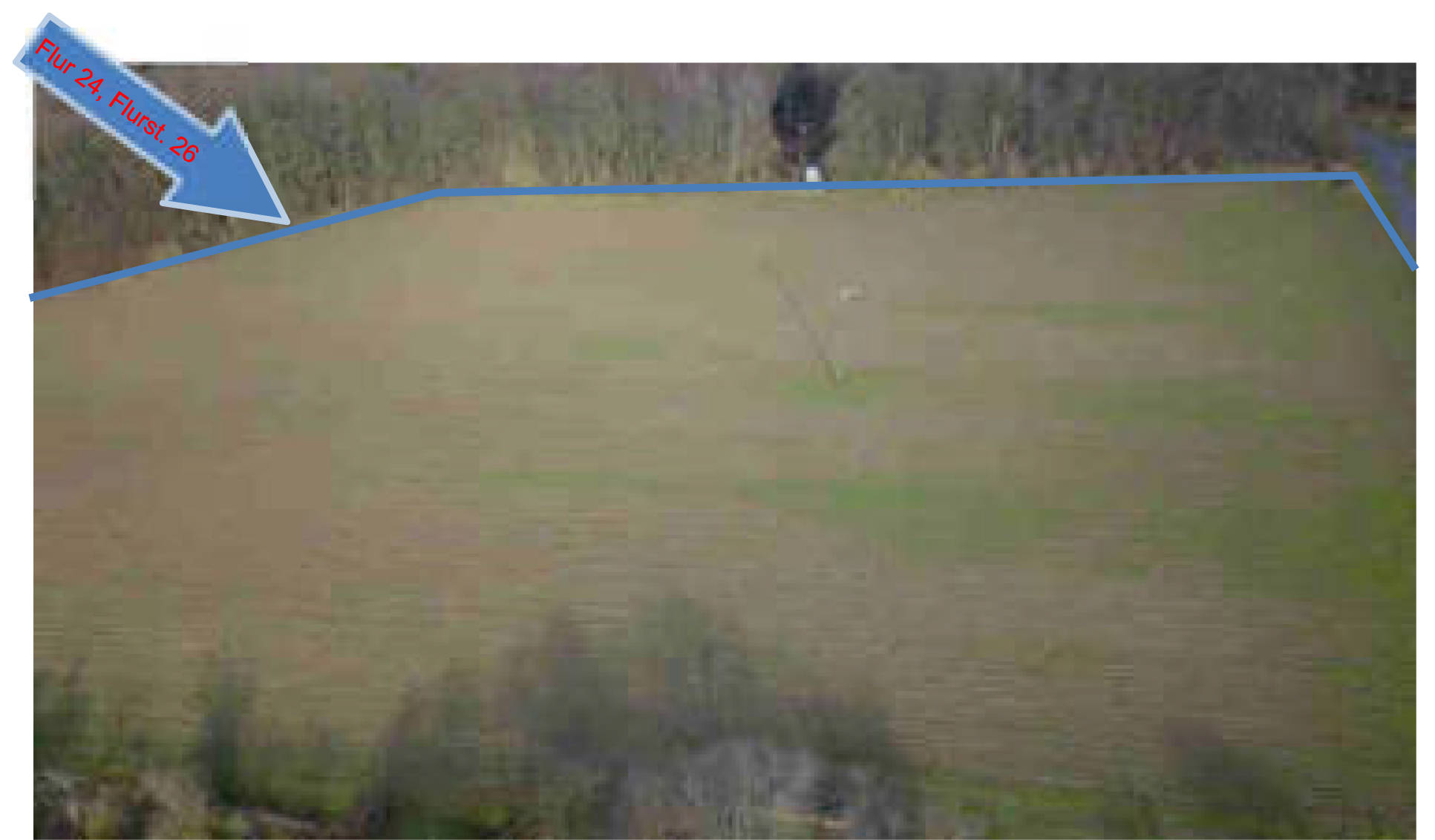 land- und forstwirtschaftlich genutztes Grundstück, unbebautes Grundstück, Wohn-/Geschäftshaus in Hof Büchelborn 1, 56340 Dachsenhausen - Bild 3