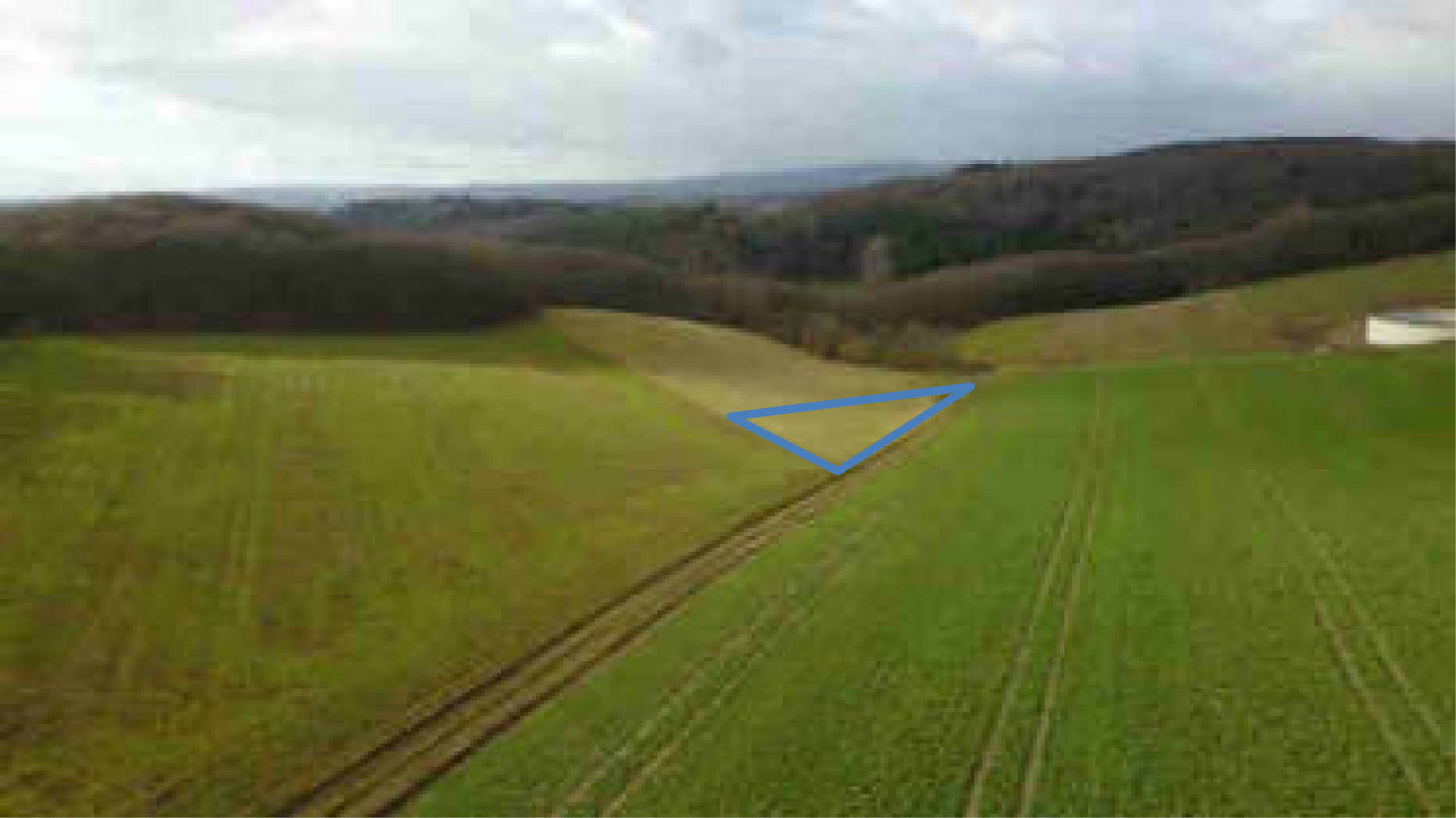 rheinland-pfalz 0006K0008-2019 Hof Büchelborn 1, 56340 Dachsenhausen 6
