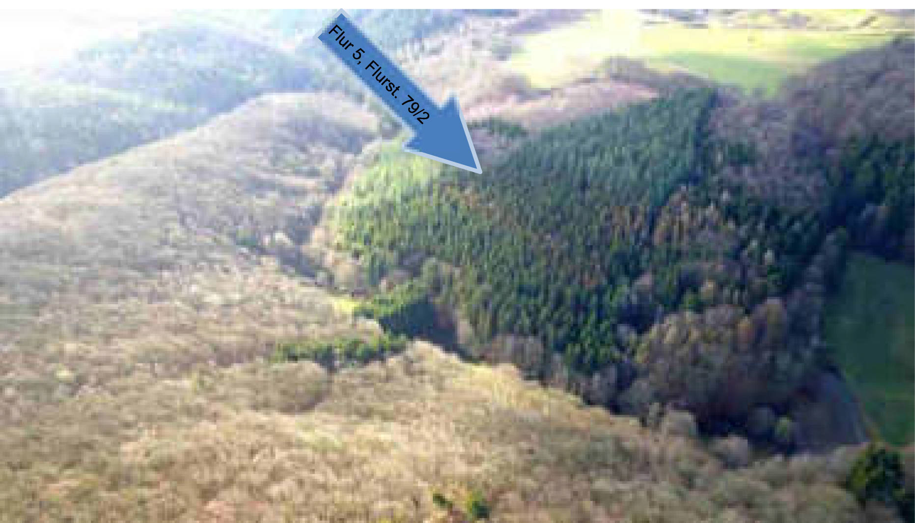 rheinland-pfalz 0006K0008-2019 Hof Büchelborn 1, 56340 Dachsenhausen 9