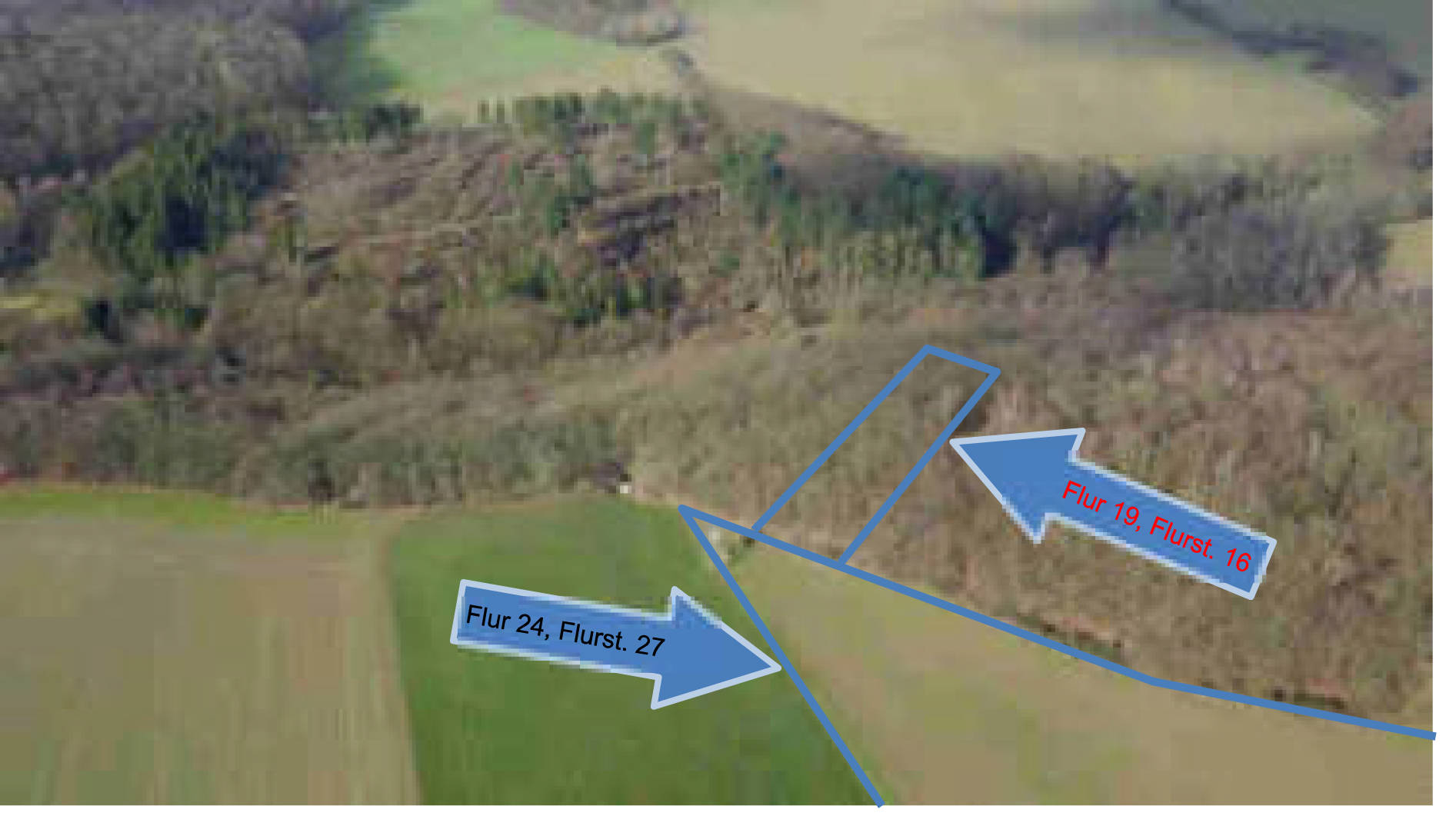 land- und forstwirtschaftlich genutztes Grundstück, unbebautes Grundstück, Wohn-/Geschäftshaus in Hof Büchelborn 1, 56340 Dachsenhausen - Bild 4