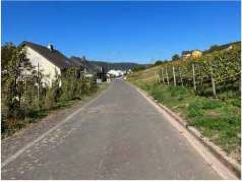 Einfamilienhaus, und weitere Feldlagen in Thonesstraße 13, 56850 Enkirch , Wederath - Bild 3