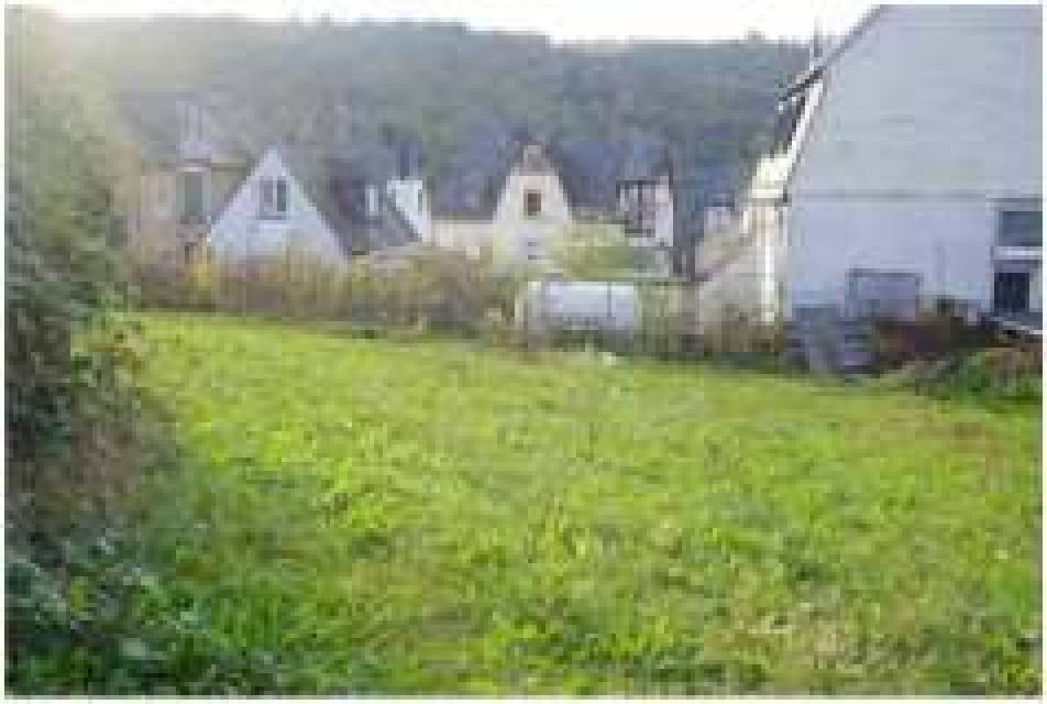 Einfamilienhaus, und weitere Feldlagen in Thonesstraße 13, 56850 Enkirch , Wederath - Bild 5