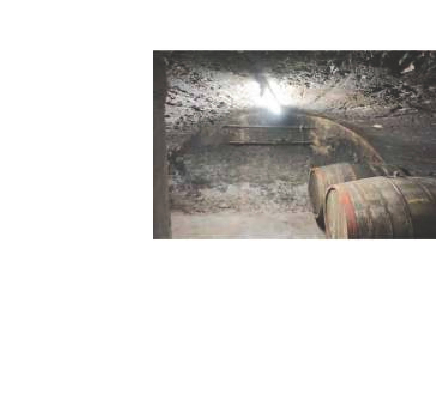 rheinland-pfalz 0006 K 0013/2025 Hinter den Fichten und andere 27, 56850 Enkirch, Wolf 21