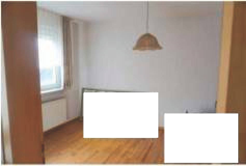 rheinland-pfalz 0006 K 0013/2025 Hinter den Fichten und andere 27, 56850 Enkirch, Wolf 16