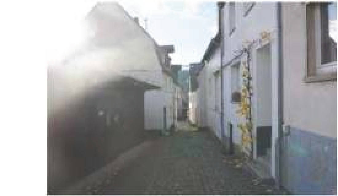 Lanwirtschaftsflächen und Waldflächen in Hinter den Fichten und andere 27, 56850 Enkirch, Wolf - Bild 4