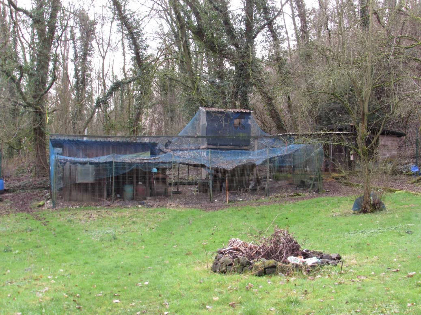 Streuobstwiese in Im Sonnenberg, 53489 Sinzig, Sinzig - Bild 5