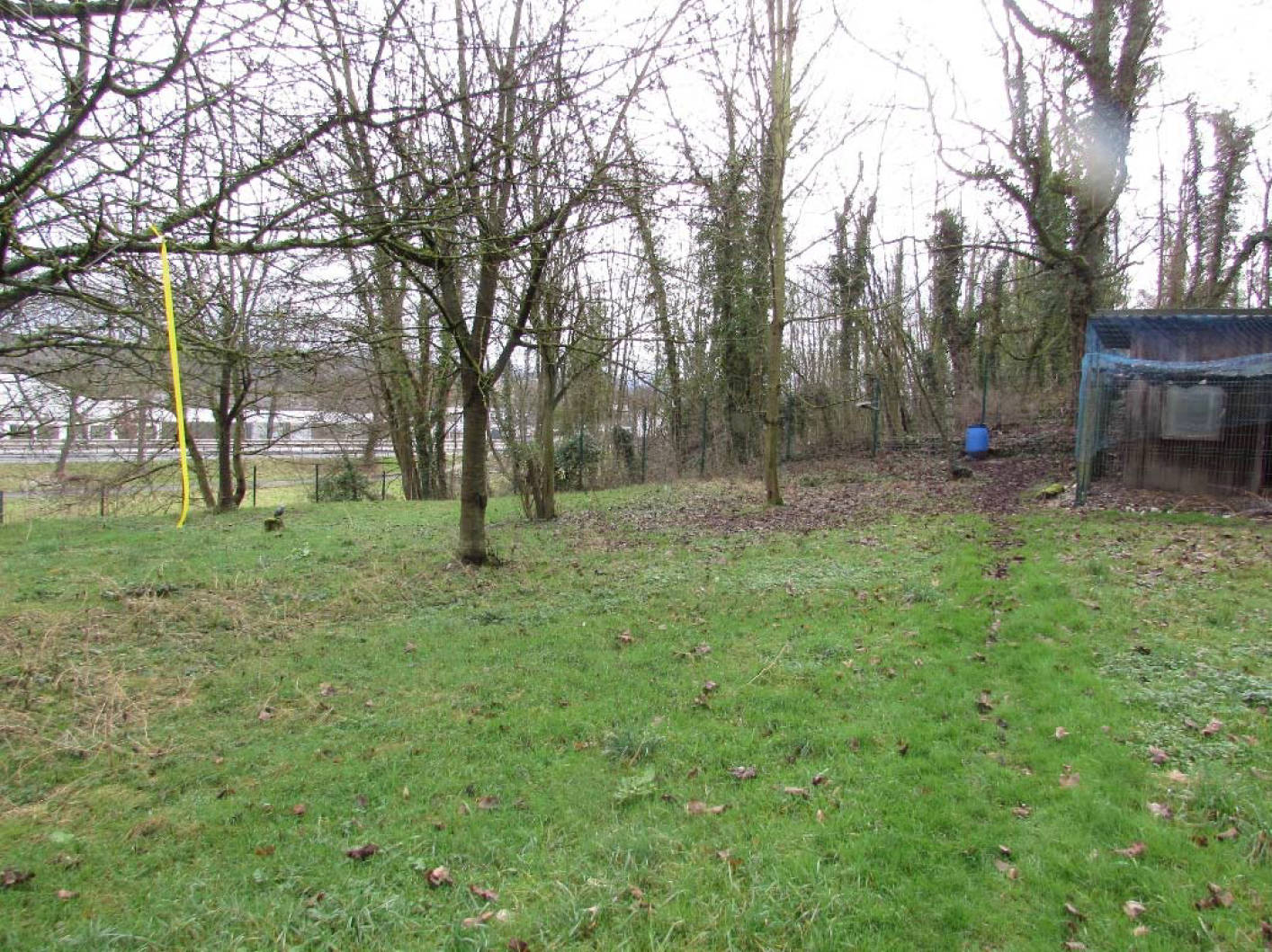 Streuobstwiese in Im Sonnenberg, 53489 Sinzig, Sinzig - Bild 2