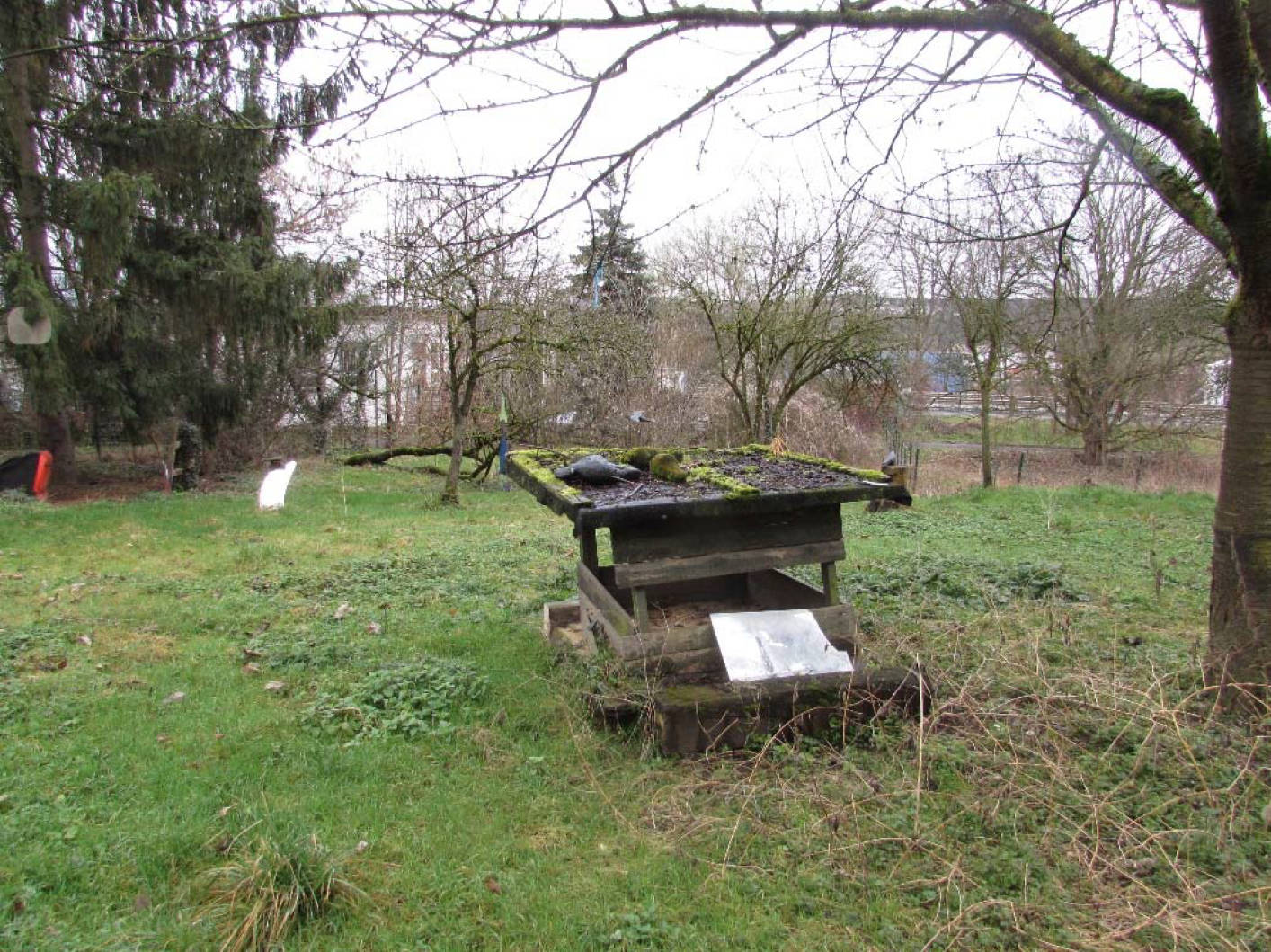 rheinland-pfalz 0006K0014-2023 Im Sonnenberg, 53489 Sinzig, Sinzig 6