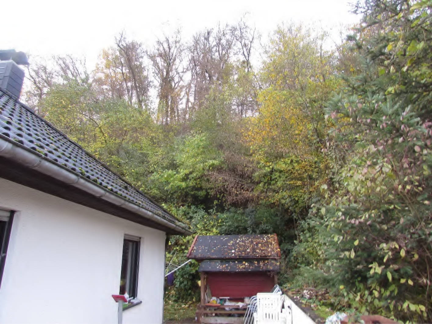 rheinland-pfalz 0006K0020/2023 Greimerstalweg  14, 56659 Burgbrohl 19