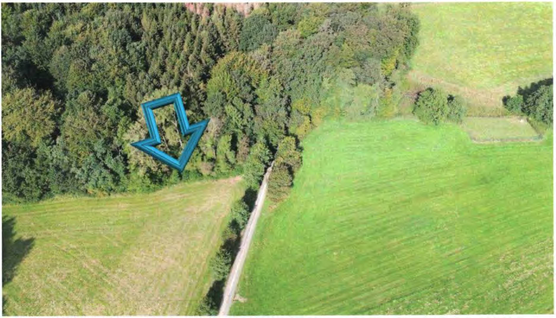 rheinland-pfalz 0006KK0006-2024 ., 00000 .