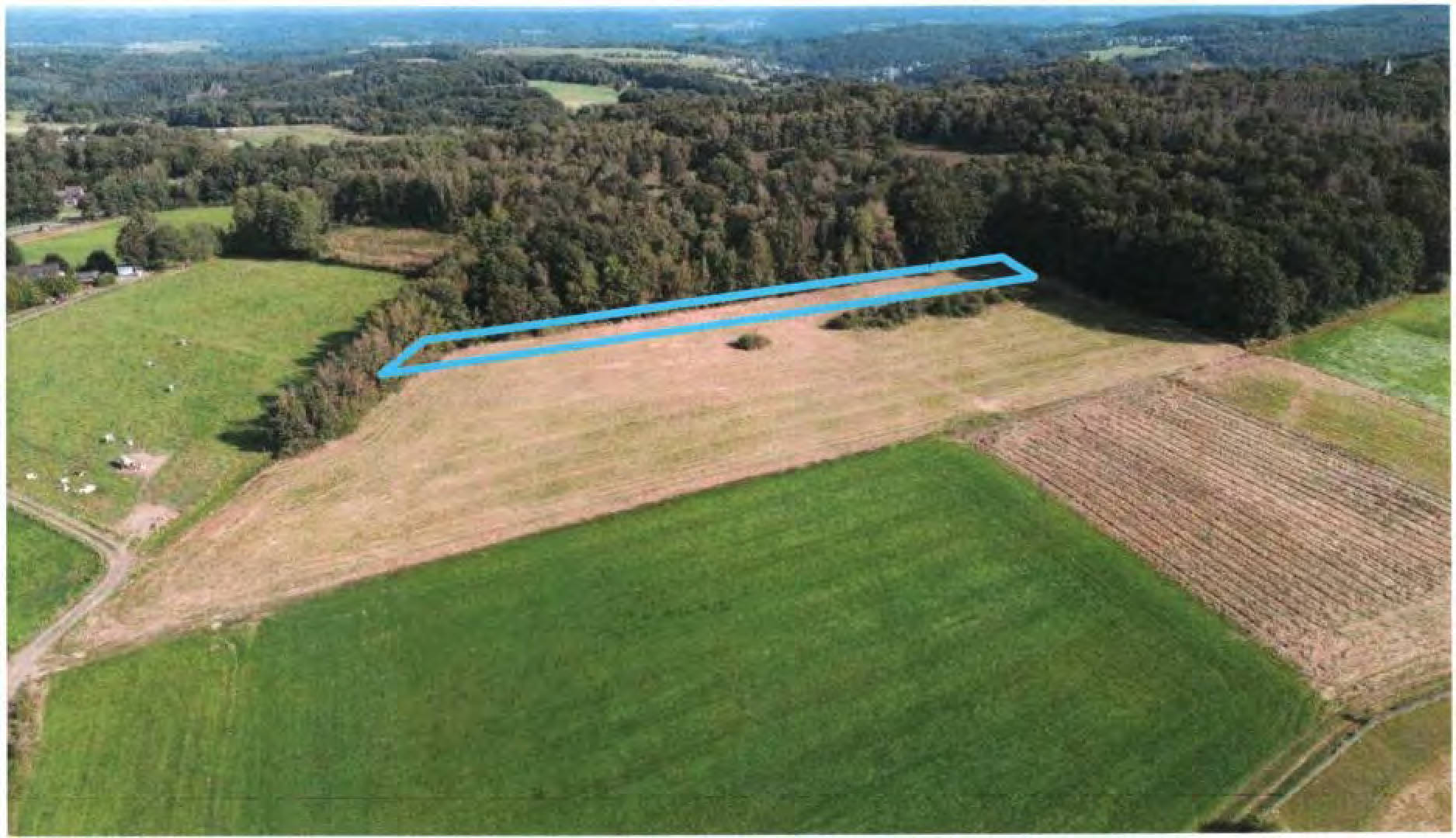 rheinland-pfalz 0006KK0006-2024 ., 00000 .