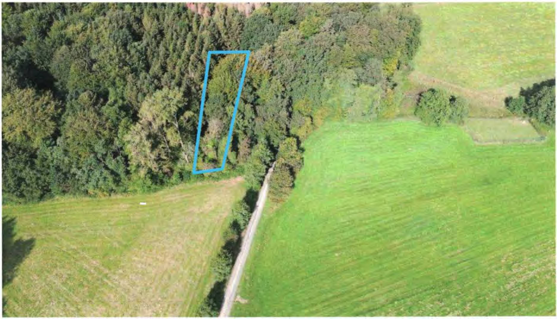 rheinland-pfalz 0006KK0006-2024 ., 00000 .