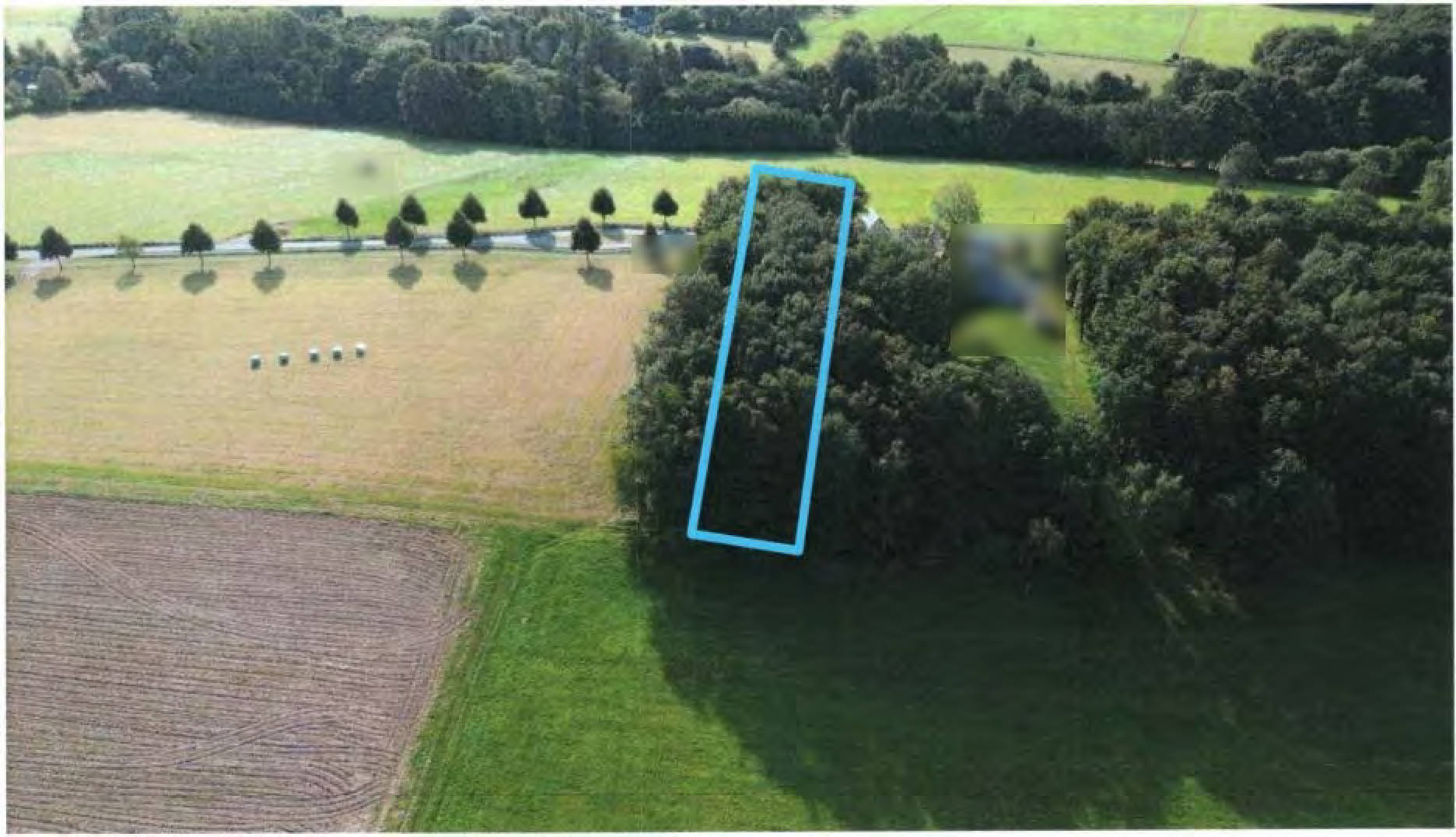 rheinland-pfalz 0006KK0006-2024 ., 00000 .