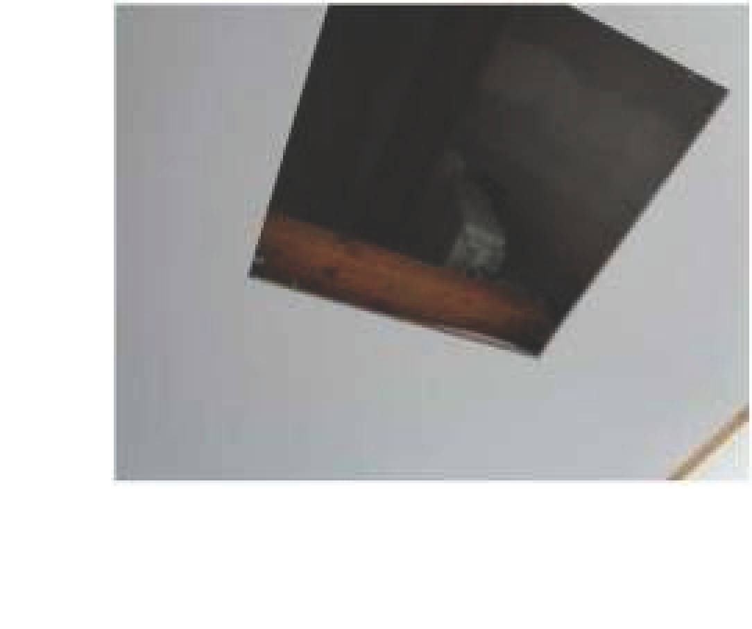 5 Eigentumswohnungen und 3 Stellplätze in Am Totenborn 10, 53545 Linz am Rhein - Bild 3