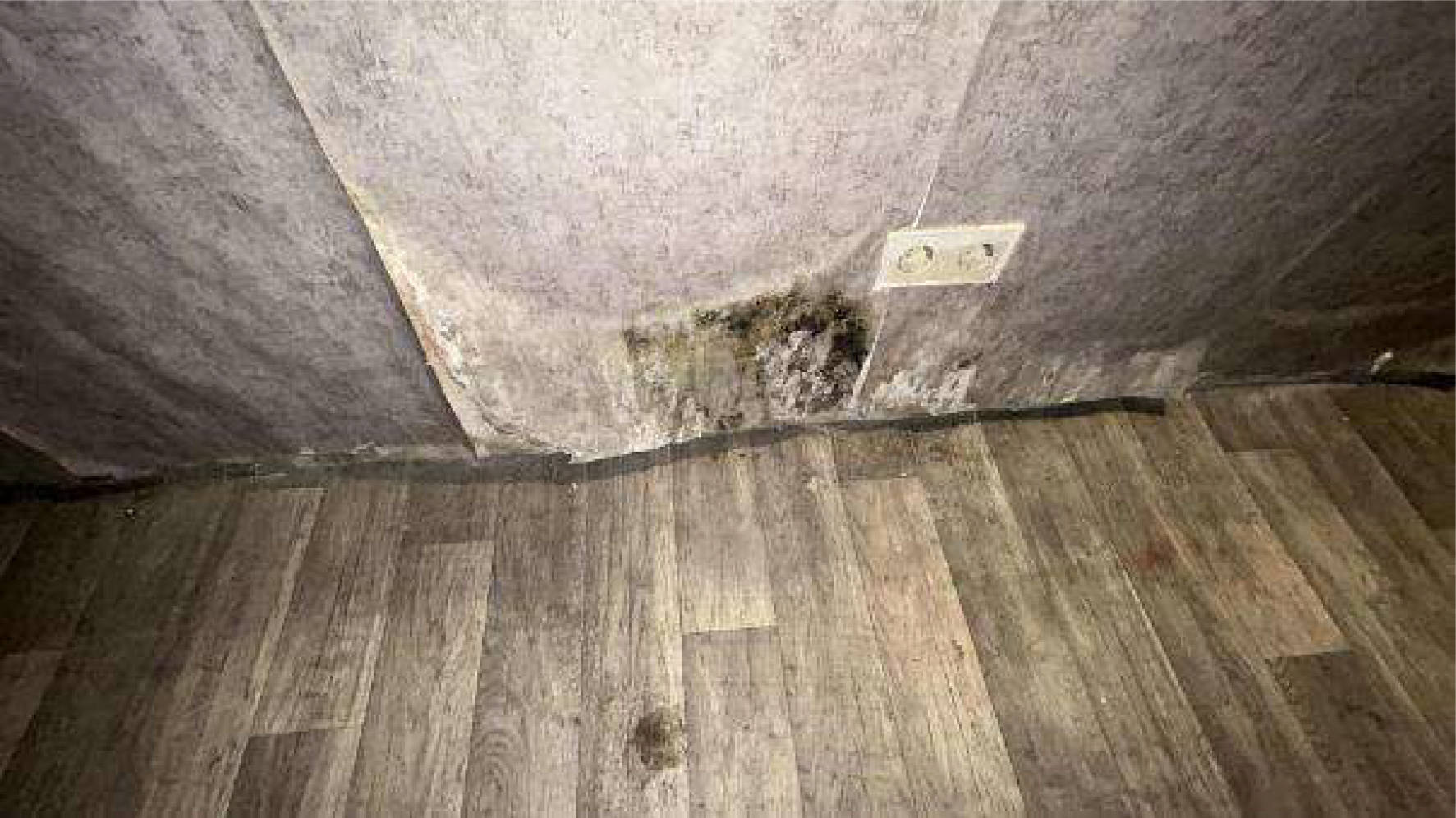 rheinland-pfalz 0010 K 0008/2024 Eppenröder Straße 8, 65558 Heistenbach 22