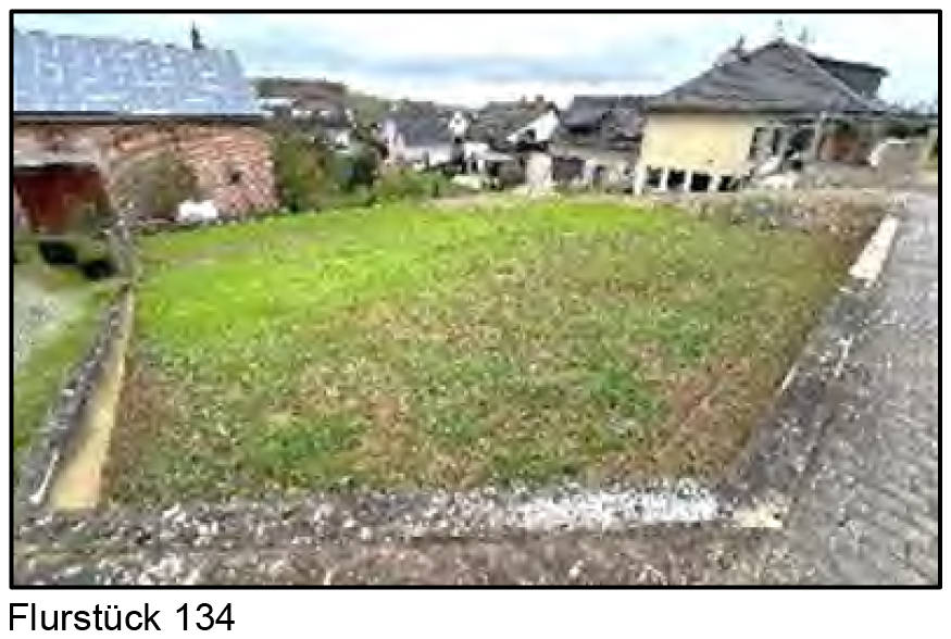 Einfamilienhaus, Garage, unbebautes Grundstück in Gartenstraße 19, 65558 Lohrheim