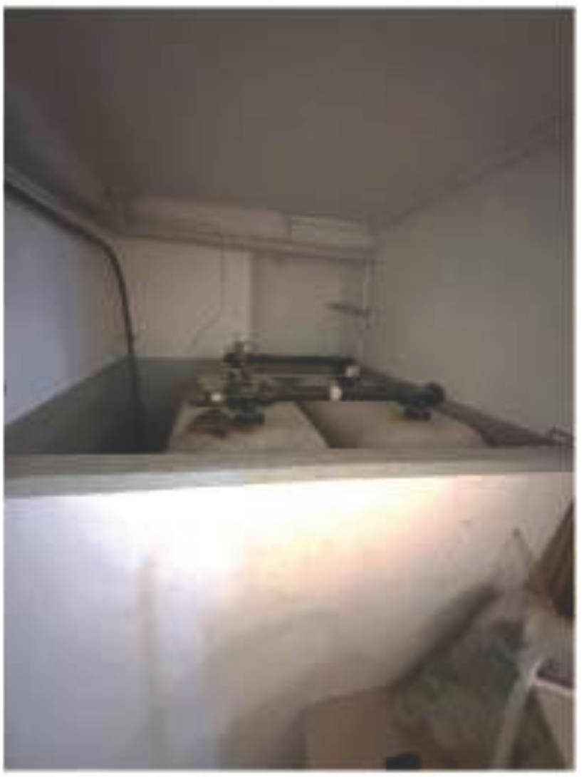 rheinland-pfalz 0010 K K 0015/2025 Trierer Straße 13, 54662 Speicher 6