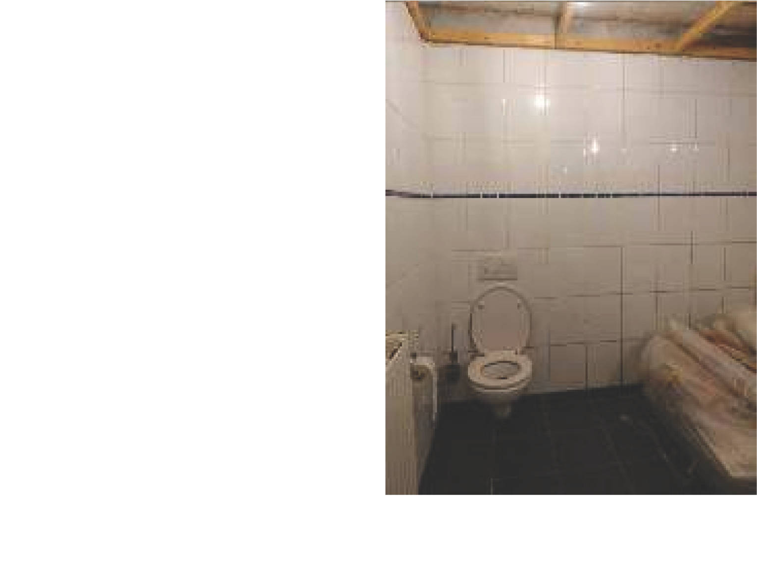 Einfamilienhaus mit Garage bebautes Grundstück, sowie als Freizeitgelände und Grünland genutztes Grundstück in Hauptstraße  14, 54310 Minden - Bild 4