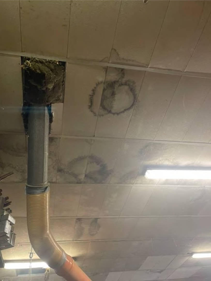 rheinland-pfalz 0010 K K 0036/2023 Hauptstraße  3a, 54616 Winterspelt 6