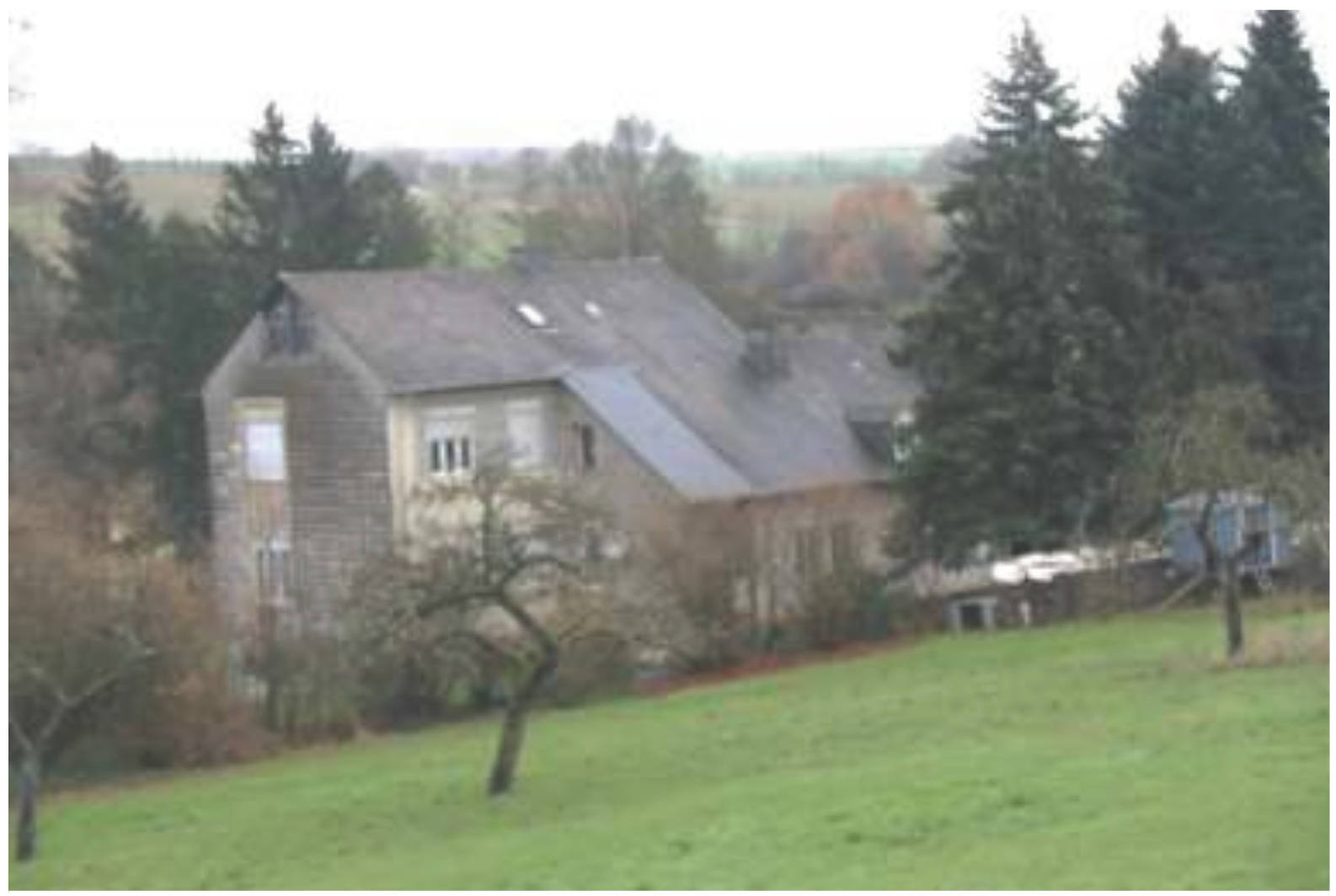 eingeschossiges Wohngebäude und zweigeschossiges ehemaliges Schulgebäude, Garagen in Kornmarktstraße  1, 54636 Biersdorf - Bild 3