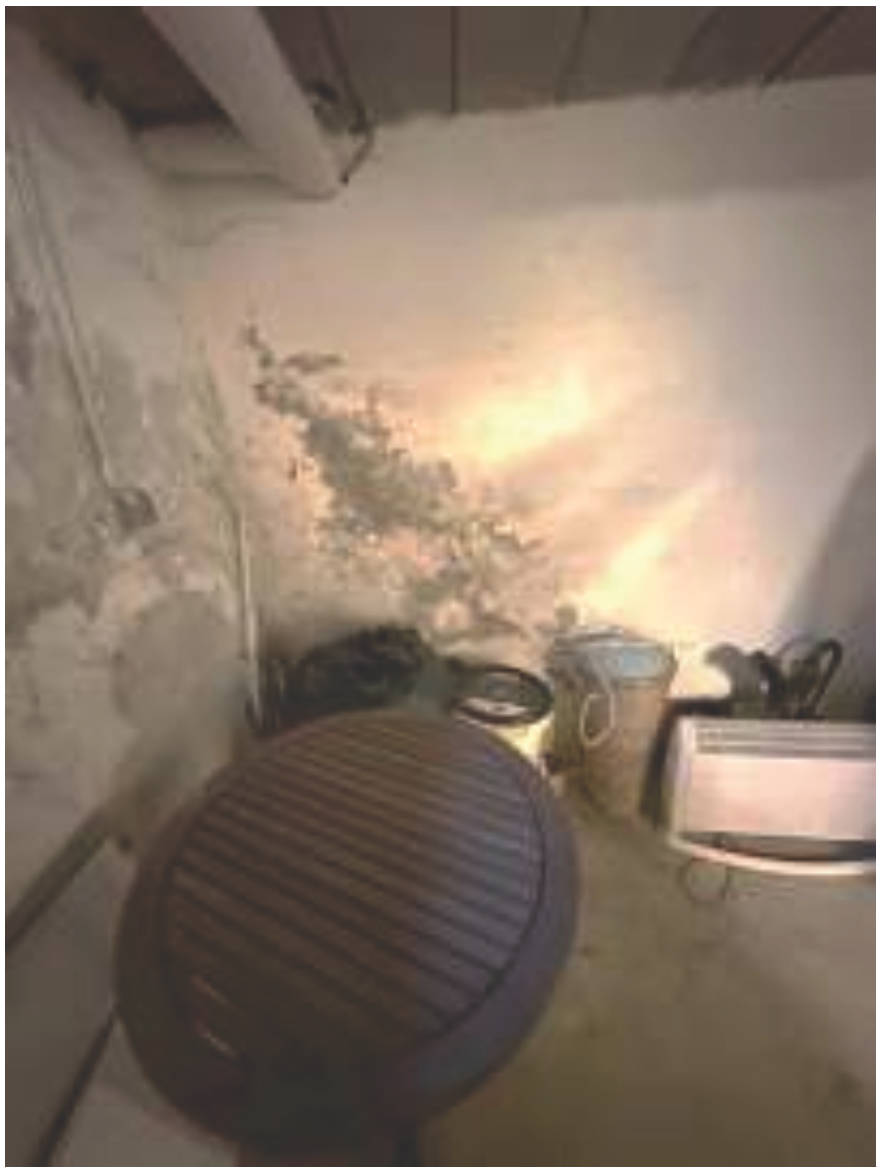 rheinland-pfalz 0010 K K 0046/2024 Kornmarktstraße  1, 54636 Biersdorf 18