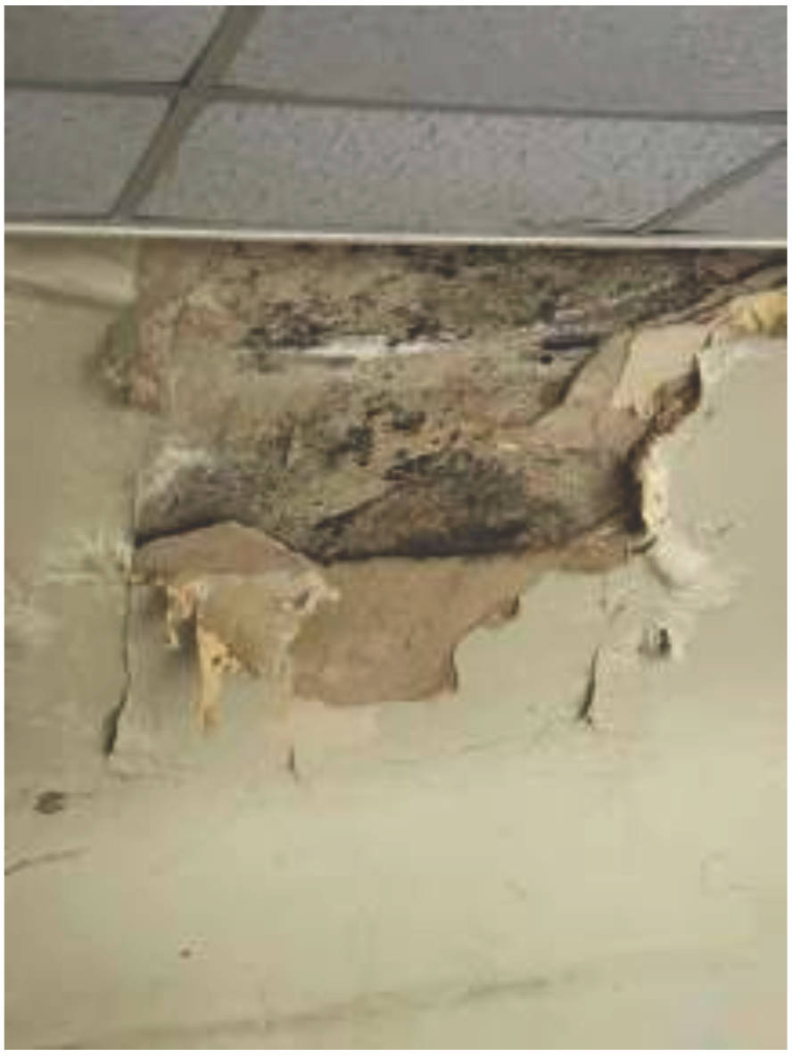 rheinland-pfalz 0010 K K 0046/2024 Kornmarktstraße  1, 54636 Biersdorf 24