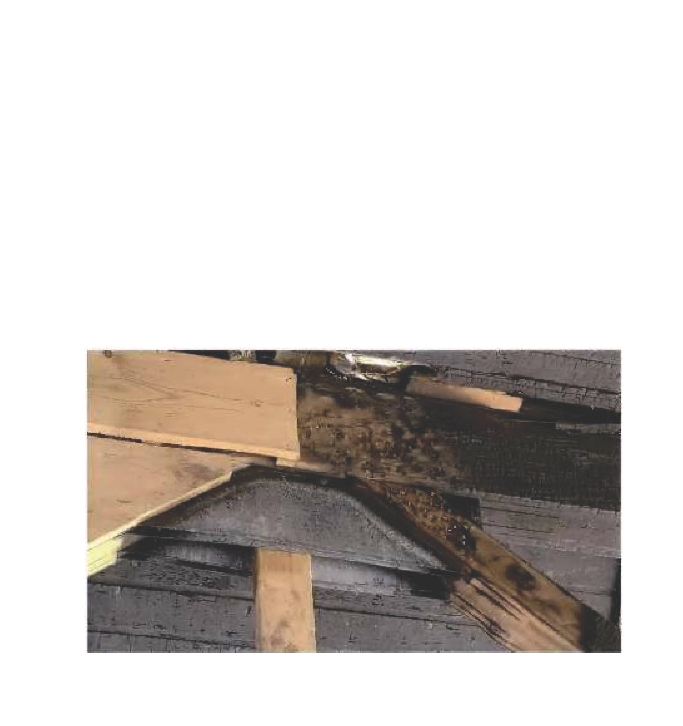 rheinland-pfalz 0011 K 0009/2025 Meisenstraße 10, 56414 Meudt, Eisen 11