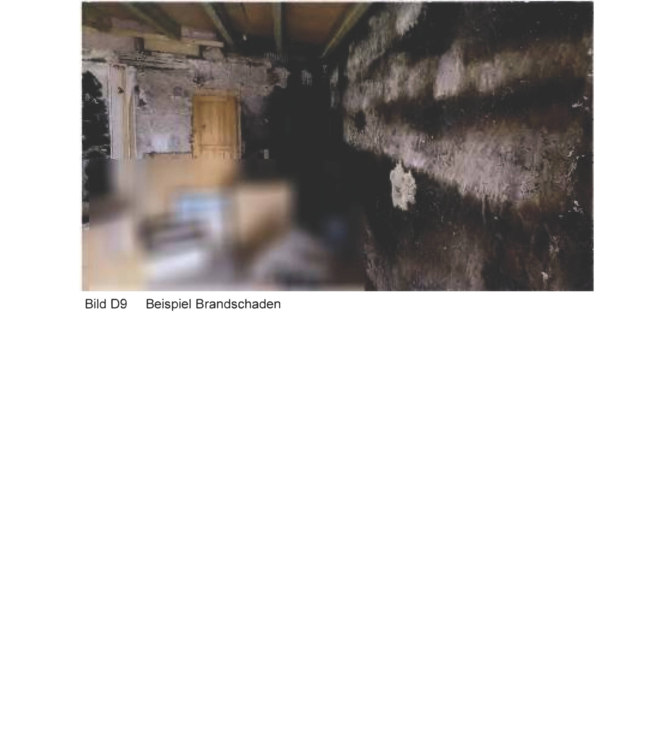 rheinland-pfalz 0011 K 0009/2025 Meisenstraße 10, 56414 Meudt, Eisen 6