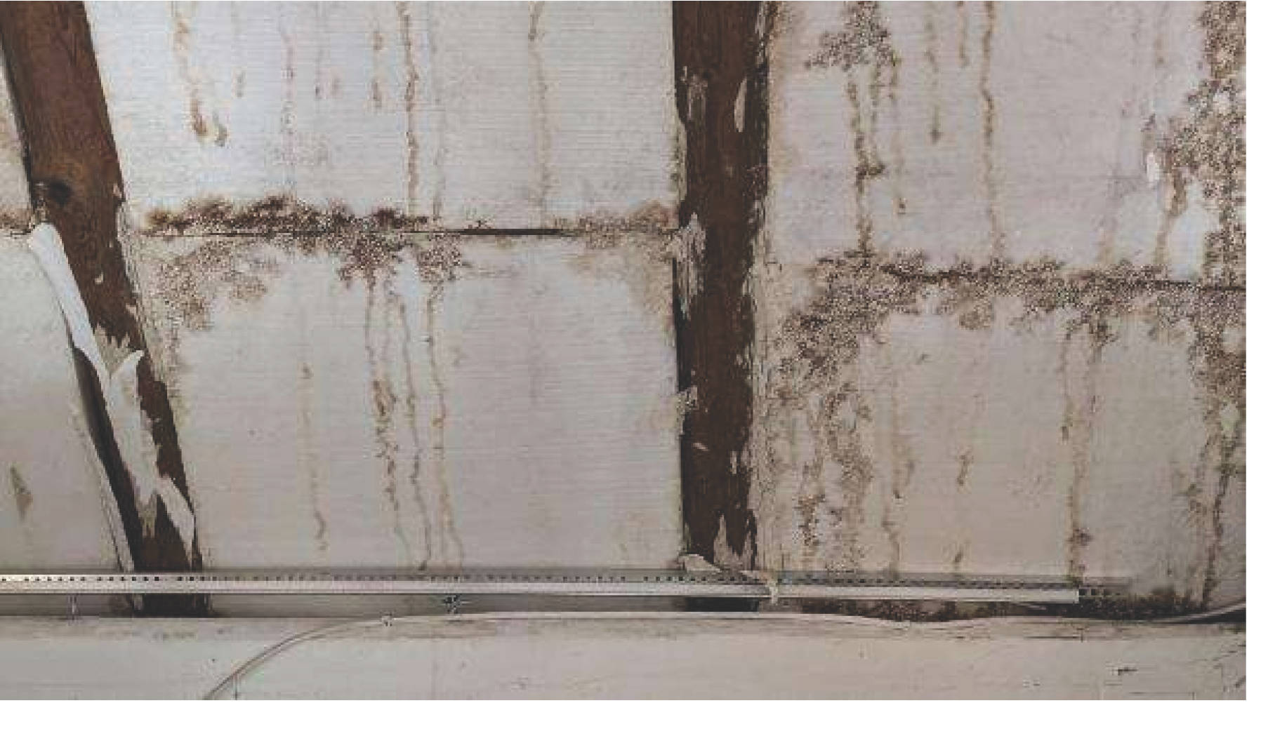 rheinland-pfalz 0012 K 0016/2024 Zur Heide 2, 56459 Guckheim 14