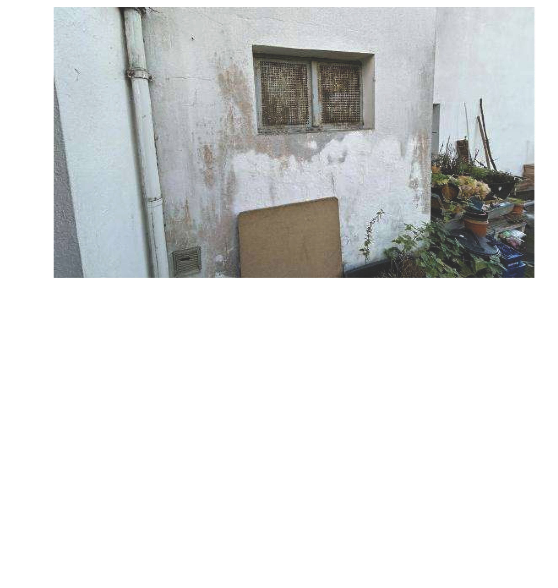 rheinland-pfalz 0012 K 0030/2024 Strauch 6, 56462 Höhn 8