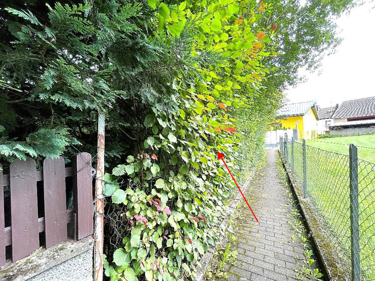 Einfamilienhaus, Scheunen, Schuppen in Alte Trierer Straße 14, 54518 Binsfeld - Bild 3