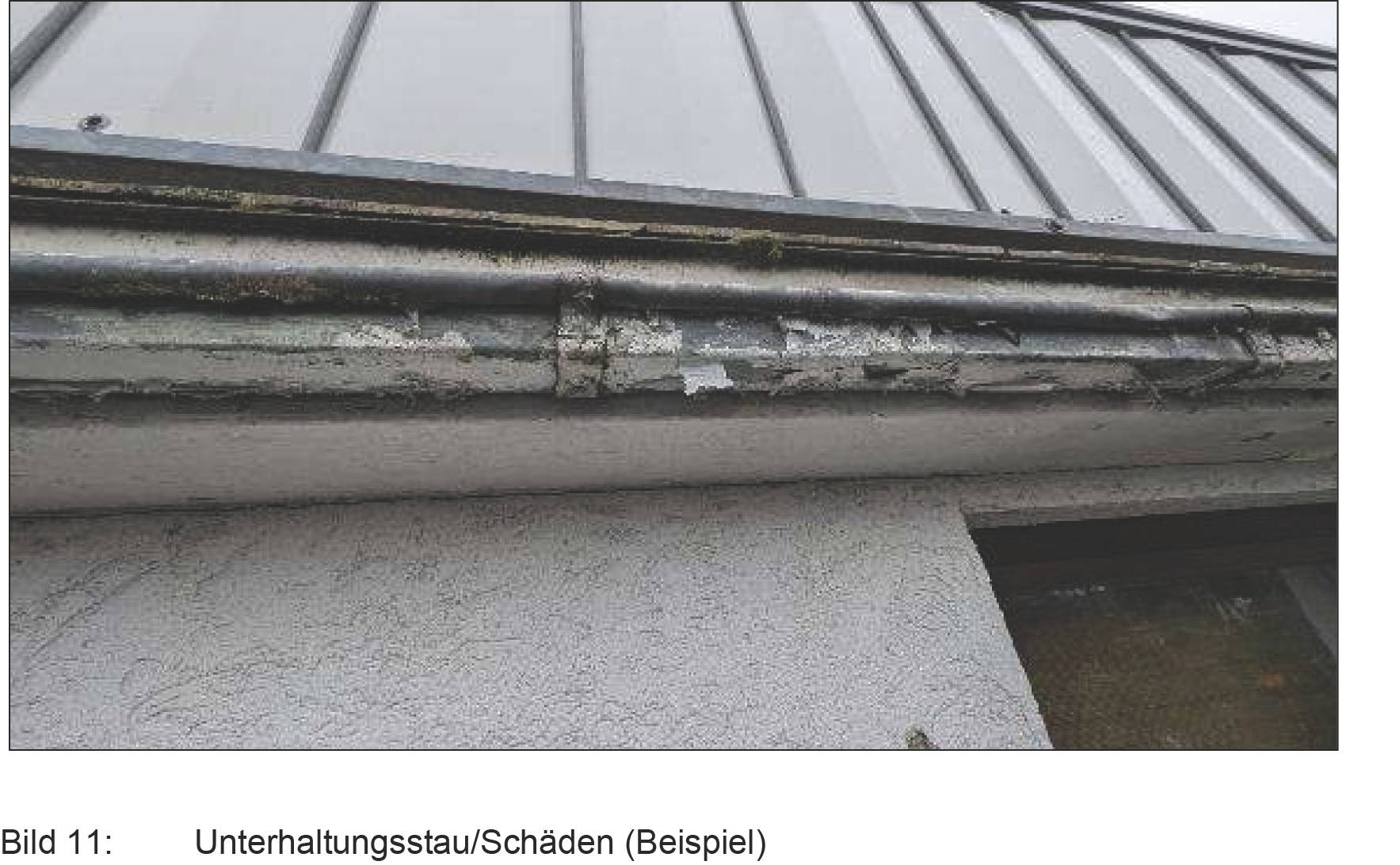 rheinland-pfalz 0013 K 0027/2024 In den Buchen 4, 57629 Steinebach, Schmidthahn 20