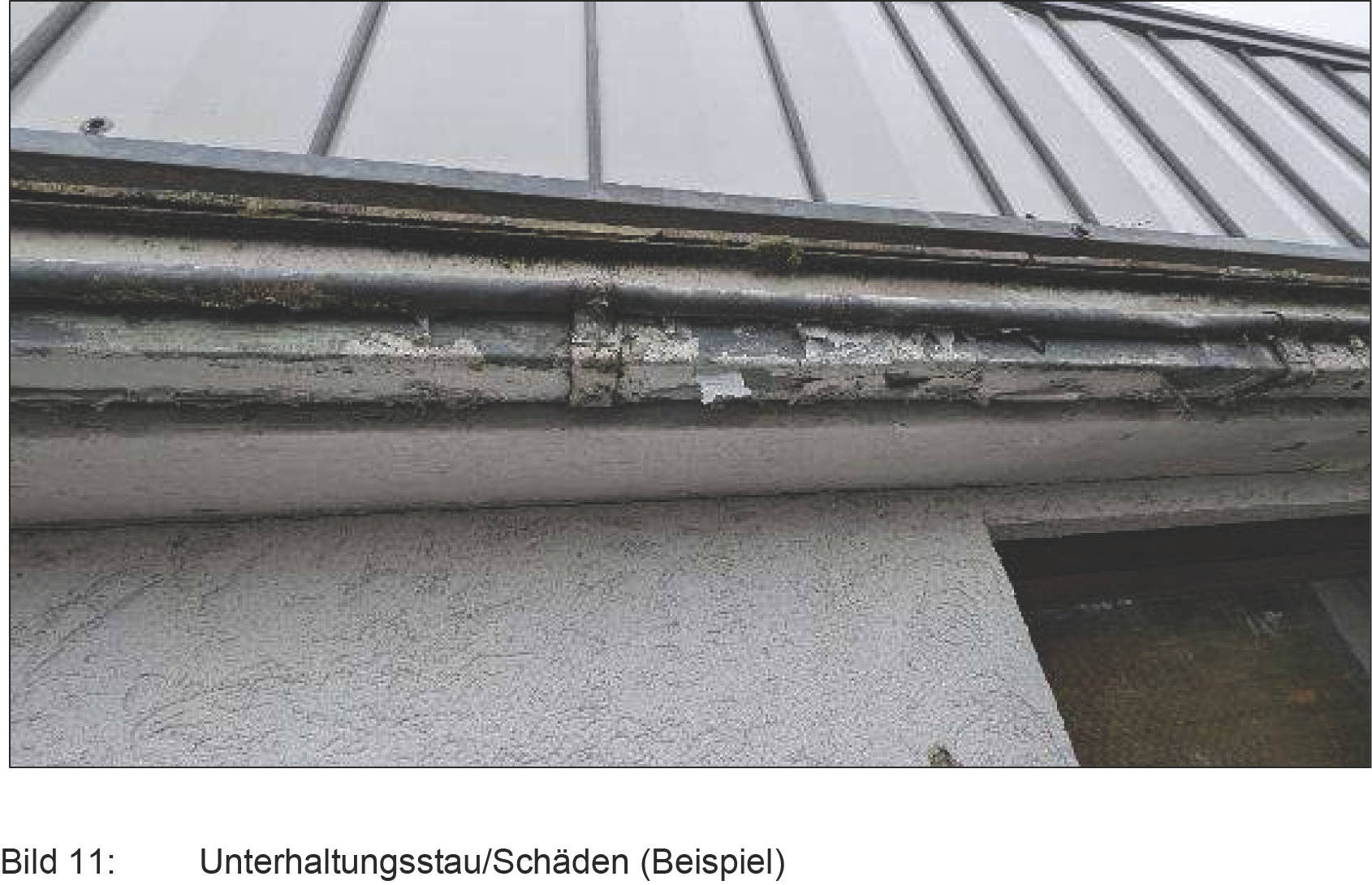 rheinland-pfalz 0013K0027/2024 In den Buchen 4, 57629 Steinebach, Schmidthahn 6