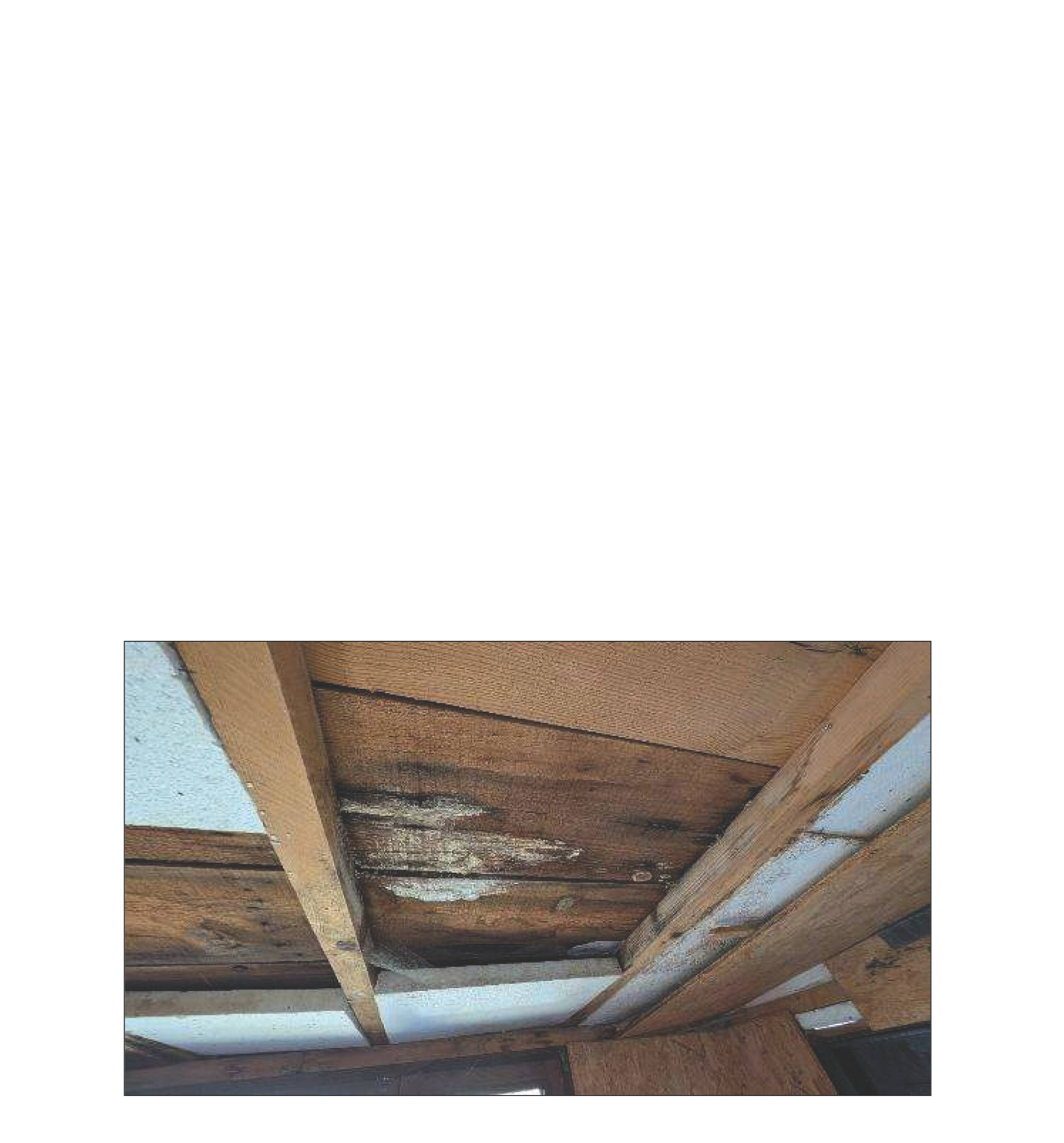 rheinland-pfalz 0013 K 0055/2024 Hauptstraße 7 A, 57629 Luckenbach 11