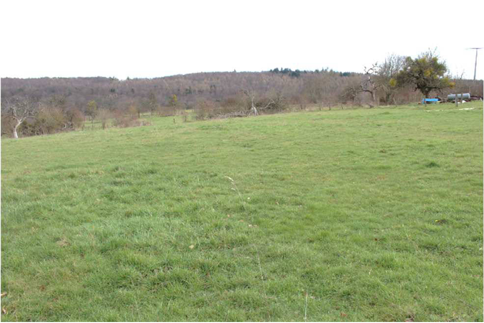 rheinland-pfalz 0014K0002-2023 Elisabethenhof, 56412  Oberelbert, 10